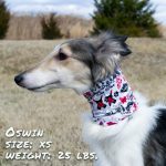 Wags and Wine Pup Scruff - Image 3