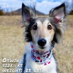 Wags and Wine Pup Scruff - Image 2