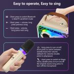 JYX D30 Karaoke With 2 Microphones&Bluetooth Speaker With Wireless - Image 2