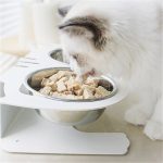 Anti-falling Cat Dog Feeding Water Bowl - Image 5