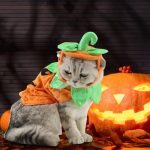 Halloween Pet Cats Costume Props Creative Pumpkin - Image 7