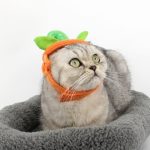 Halloween Pet Cats Costume Props Creative Pumpkin - Image 3