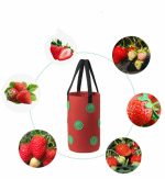 Strawberry Grow Bag Nonwoven Fabric Vertical Jardin Garden - Image 7