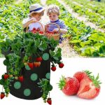 Strawberry Grow Bag Nonwoven Fabric Vertical Jardin Garden - Image 4