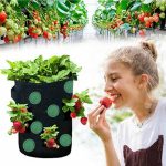 Strawberry Grow Bag Nonwoven Fabric Vertical Jardin Garden - Image 5