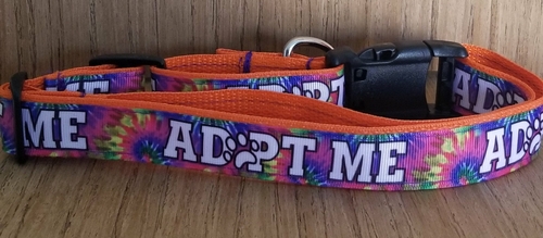 20200304_135544_0fa4e7ec-3cb8-4989-9a0b-7f8c2630054f.jpg Copy of Collar/ Medium/ Adopt Me - Image 1