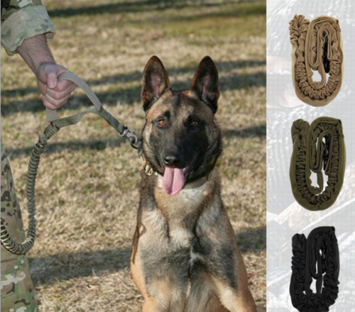 3192615048391.png Pet Dog Leash With Highly Reflective Threads - Image 1