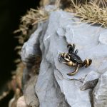 Brass Crab - Image 2