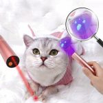 2 in 1 Cat Detection Lamp Laser Funny Cat Stick Test Pen