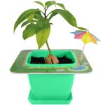 AvoSeedo 2.0 - Pet Avocado - Image 7