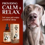 Charlie Buddy   H–µmp Oil for Dogs Cats   Hi—Ä and J–æint Supp–ært and - Image 5
