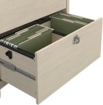 Bush Furniture Salinas 2 Drawer Lateral File Cabinet in Antique White, - Image 2