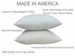 4x6 or 6x4 | Indoor Outdoor Hypoallergenic Polyester Pillow Insert |