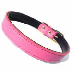 Plain Chelsea Dog Collars (4 sizes) 8-16" - Image 4