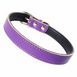 Plain Chelsea Dog Collars (4 sizes) 8-16" - Image 8