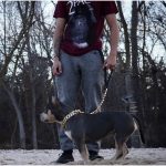 Kilo Cuban Link | Leash - Image 5