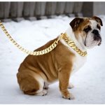 Kilo Cuban Link | Leash - Image 6