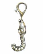A-Z Crystal Letter Pet Charms - Image 13
