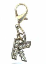 A-Z Crystal Letter Pet Charms - Image 14