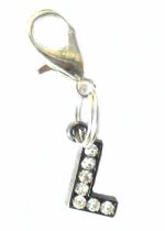 A-Z Crystal Letter Pet Charms - Image 15