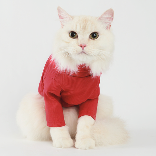 Label_Turtleneck_Red_Clothes-1.png Label Turtleneck Red - Image 1