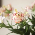 Artificial Peruvian Lily Stem 29.5" Tall - Image 4