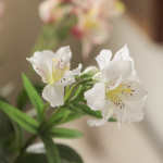 Artificial Peruvian Lily Stem 29.5" Tall - Image 8