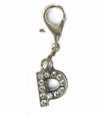 A-Z Crystal Letter Pet Charms - Image 19