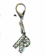 A-Z Crystal Letter Pet Charms - Image 22