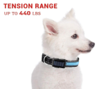 USB and Solar Charge Reflective Led Dog Collar - Image 8