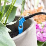 Automatic Drip Watering System for Plant Pots Regott InnovaGoods - Image 22