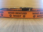 Leash/ Large/ Who Rescued Who - Image 2