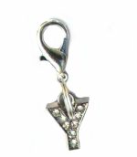 A-Z Crystal Letter Pet Charms - Image 29