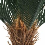 Artificial Cyac (Cycad) Plant 60cm - Image 4