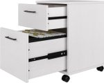 Bush Furniture Key West 2 Drawer Mobile File Cabinet, Rolling File - Image 3