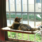 Cat Window Bed - Image 4