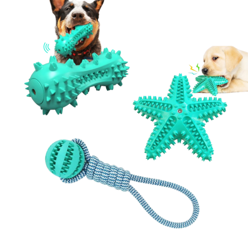data-10.png Fast Shipping 3 Pack Squeaky Toothbrush & Cotton Rope Ball Dog Toys - Image 1