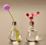 Bulb Flower pots - Image 3