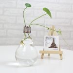 Bulb Flower pots - Image 4