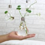 Bulb Flower pots - Image 5