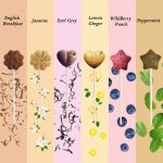 Tea-Pop Gift Box Set - Image 2