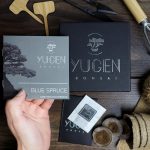 Blue Spruce Bonsai Tree Growing Kit - Image 3