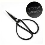 Blue Spruce Bonsai Tree Growing Kit - Image 5