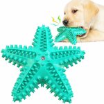 Fast Shipping 3 Pack Squeaky Toothbrush & Cotton Rope Ball Dog Toys - Image 3