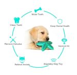 Fast Shipping 3 Pack Squeaky Toothbrush & Cotton Rope Ball Dog Toys - Image 6