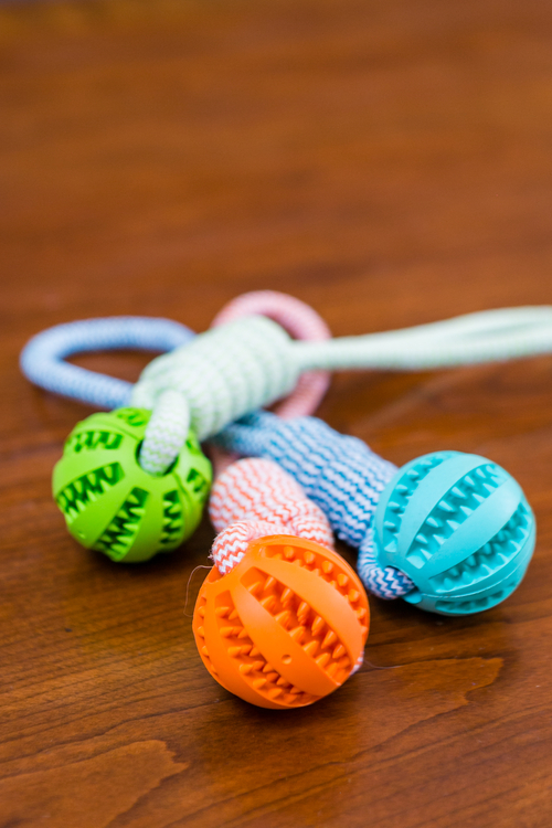 data-433.jpg Durable Rubber Ball Chew Toy with Cotton Rope - Image 1