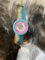 Wholesale pack of 50 QR Code Pet ID Tags with Free Pet Profile - Image 5