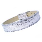 Disco Fever Dog Collar - Image 3