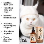 Charlie Buddy   H–µmp Oil for Dogs Cats   Hi—Ä and J–æint Supp–ært and - Image 3