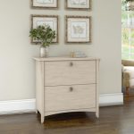 Bush Furniture Salinas 2 Drawer Lateral File Cabinet in Antique White,